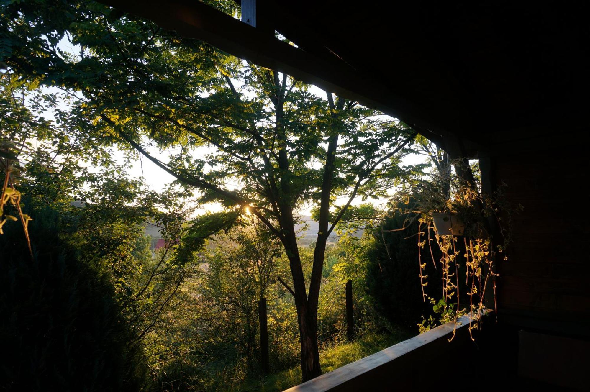 Natura Chalets براد المظهر الخارجي الصورة
